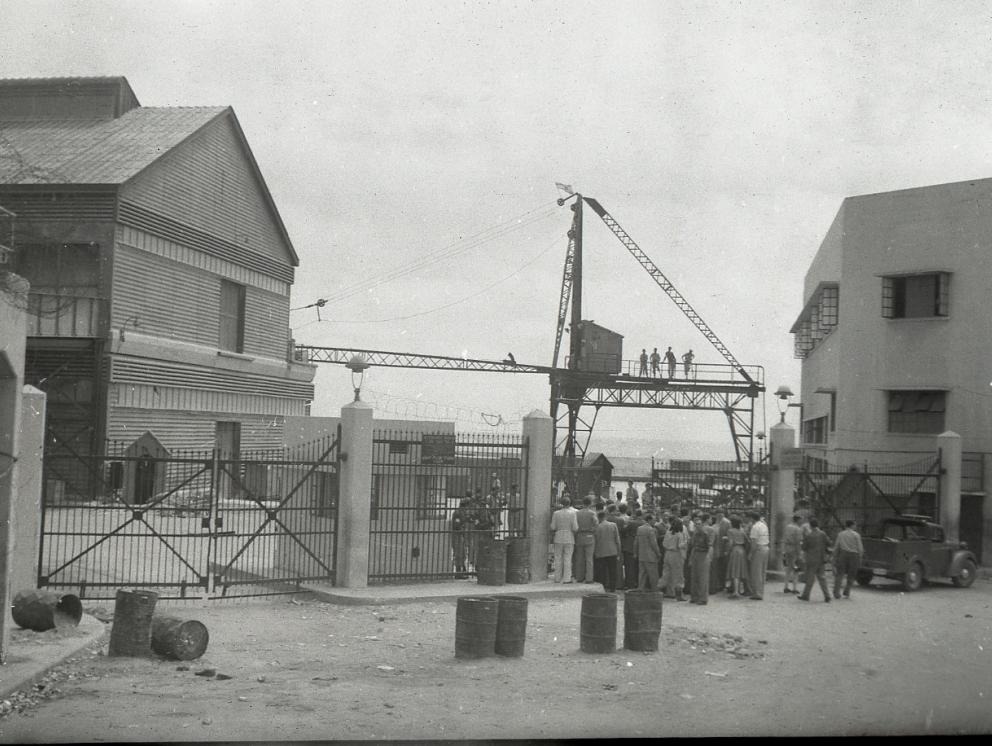 WhatsApp Image 2020-10-18 at 3.53.49 PM (1).jpeg.jpeg